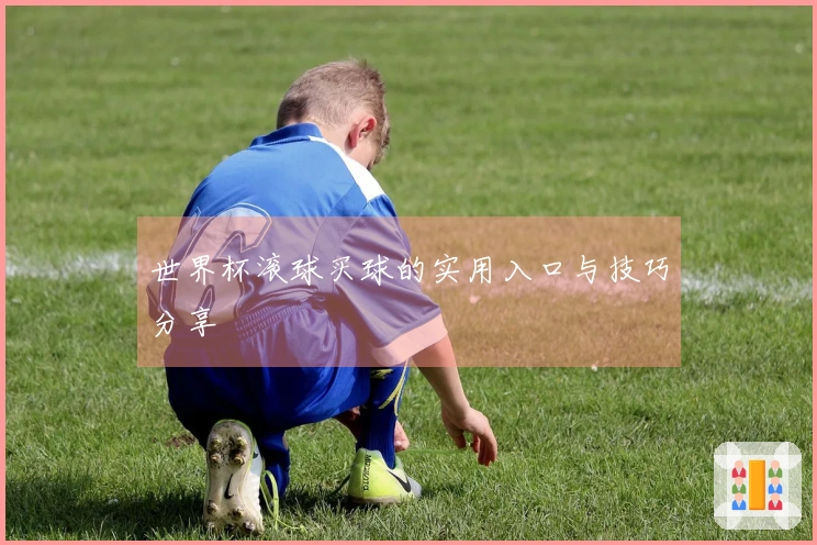 世界杯滚球买球的实用入口与技巧分享