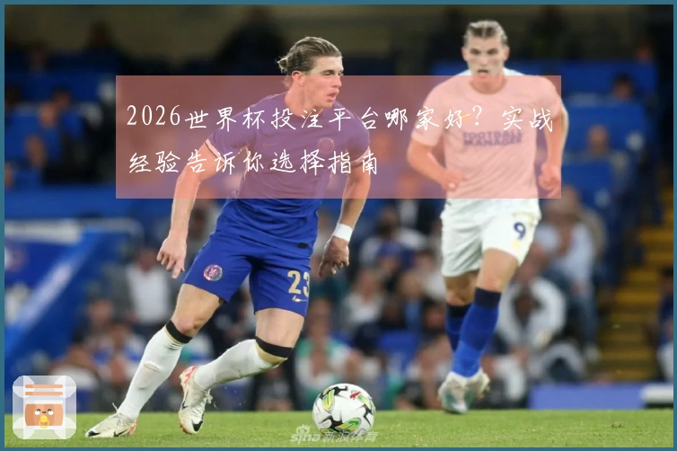 2026世界杯投注平台哪家好？实战经验告诉你选择指南