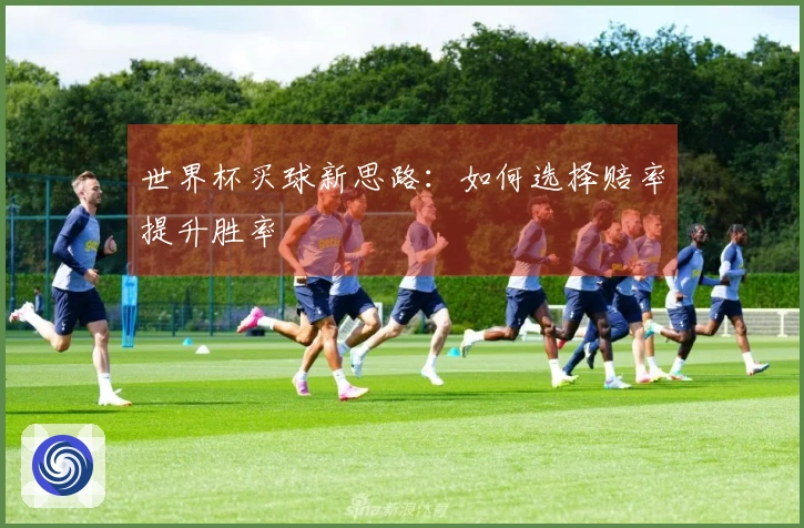 世界杯买球新思路：如何选择赔率提升胜率