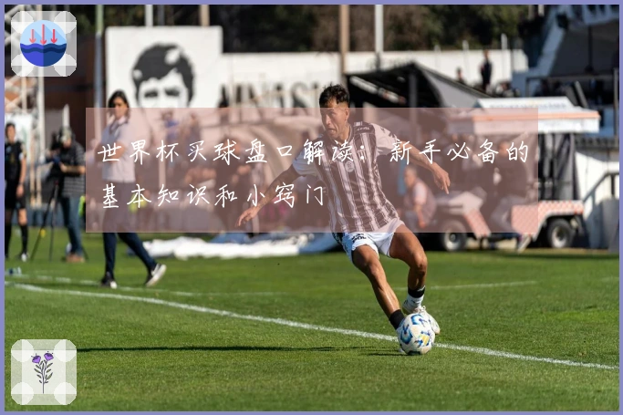 世界杯买球盘口解读：新手必备的基本知识和小窍门