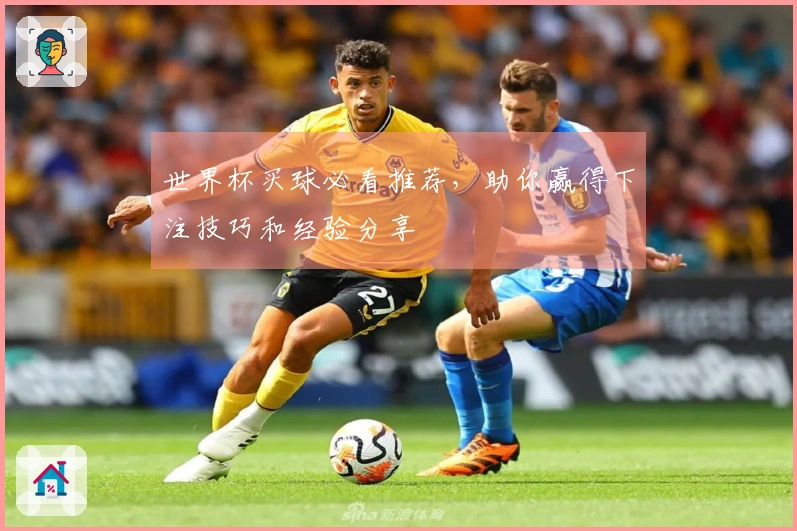 世界杯买球必看推荐，助你赢得下注技巧和经验分享