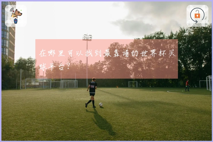 在哪里可以找到最靠谱的世界杯买球平台？